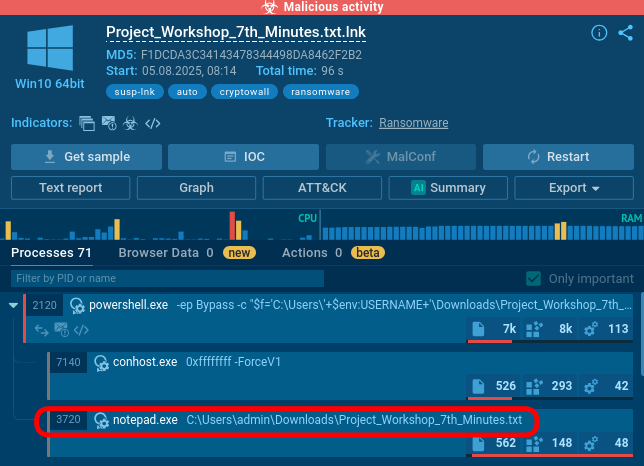 CryptoWall key processes